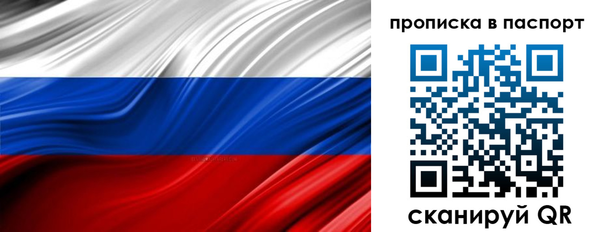 временная регистрация гарантия в Брянской области